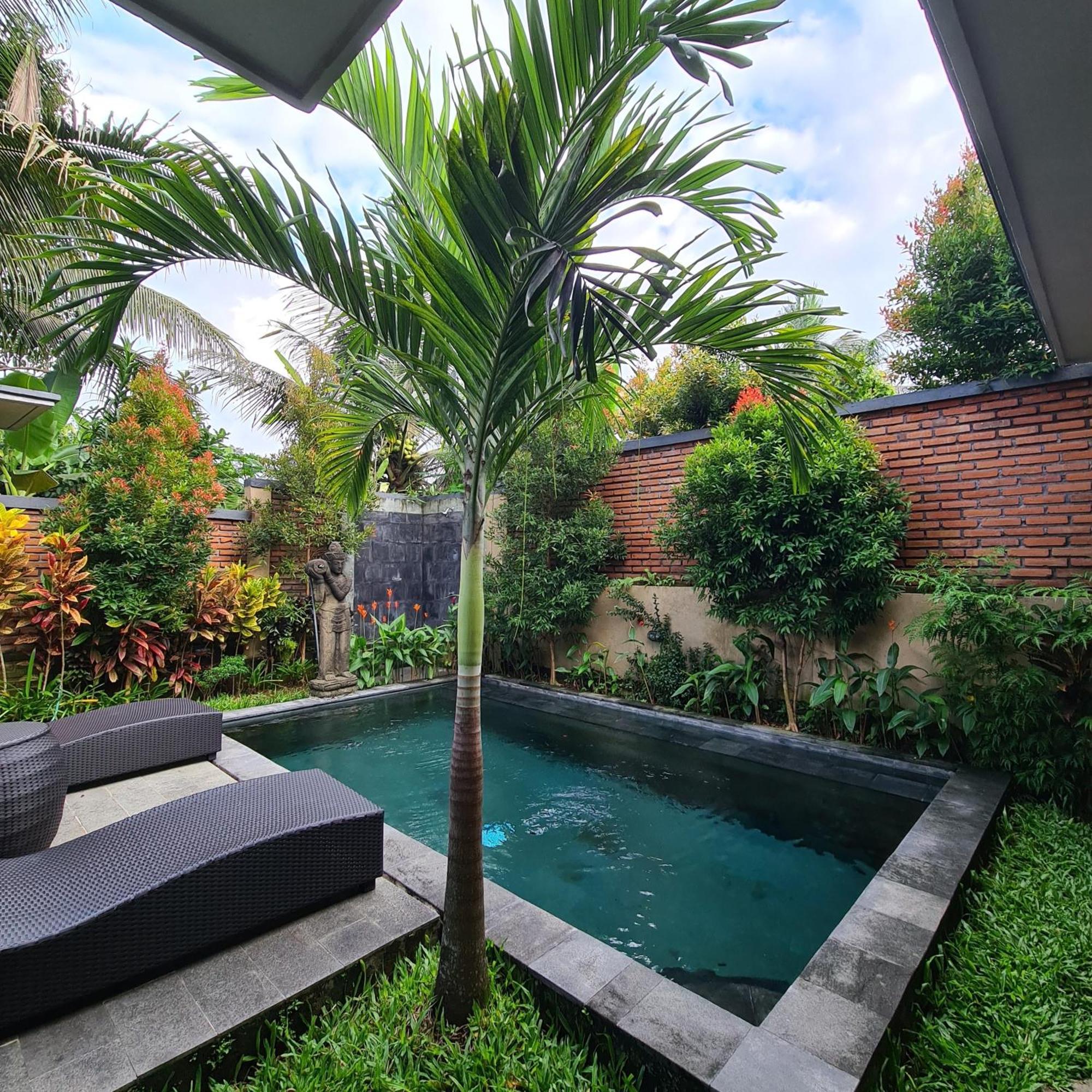 Ubud Suarga Private Pool Villa Esterno foto
